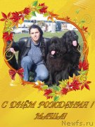 Превью фото № 212541