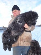 Превью фото № 218660