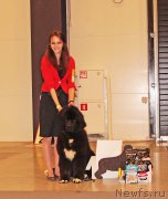 Превью фото № 219164