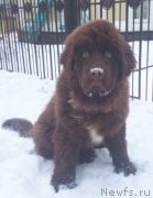 Превью фото № 220724