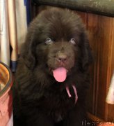 Превью фото № 222586