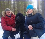 Превью фото № 223509