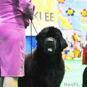 Превью фото № 223910