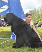 Превью фото № 224223