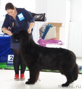 Превью фото № 224530