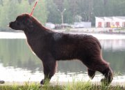 Превью фото № 225811