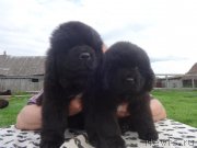 Превью фото № 228159