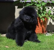 Превью фото № 228424