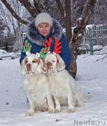 Превью фото № 232847