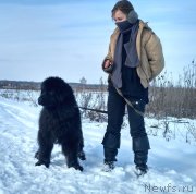 Превью фото № 233976