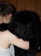 Превью фото № 234716