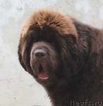 Превью фото № 24709