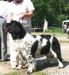 Превью фото № 29158