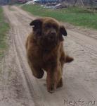 Превью фото № 3730