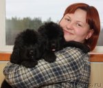 Превью фото № 54190