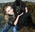 Превью фото № 72366