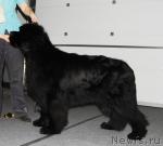 Превью фото № 9472