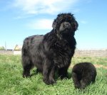 Превью фото № 95797