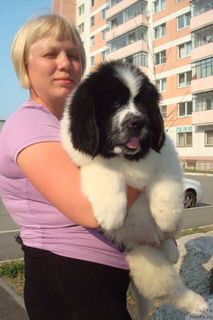 Фотография № 100004