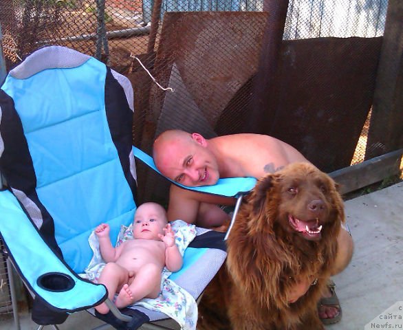 Фото: Ирина Нистратова, Алексей Нистратов, Даник