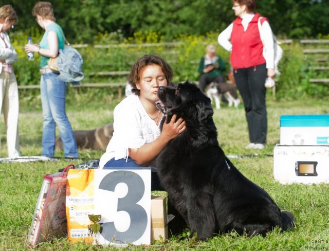 Фотография № 100026