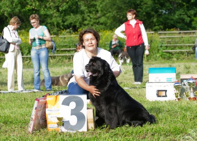 Фотография № 100027