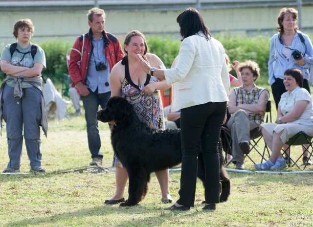 Фотография № 100029