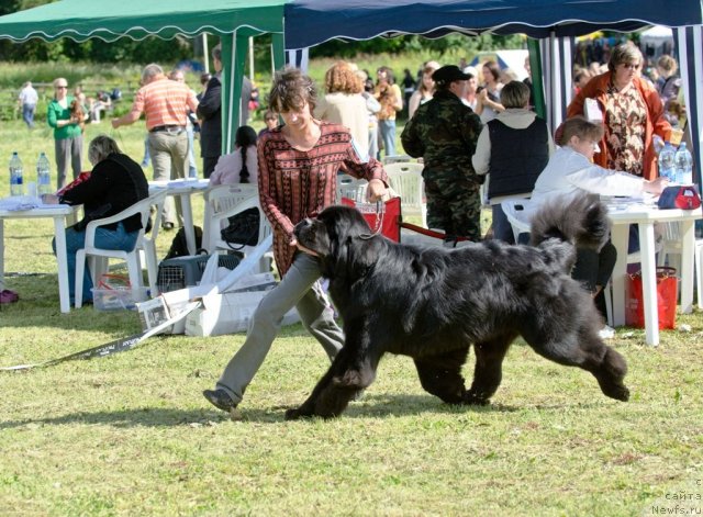 Фотография № 100030