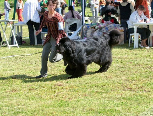 Фотография № 100031