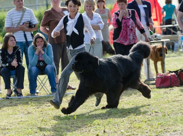 Фотография № 100033