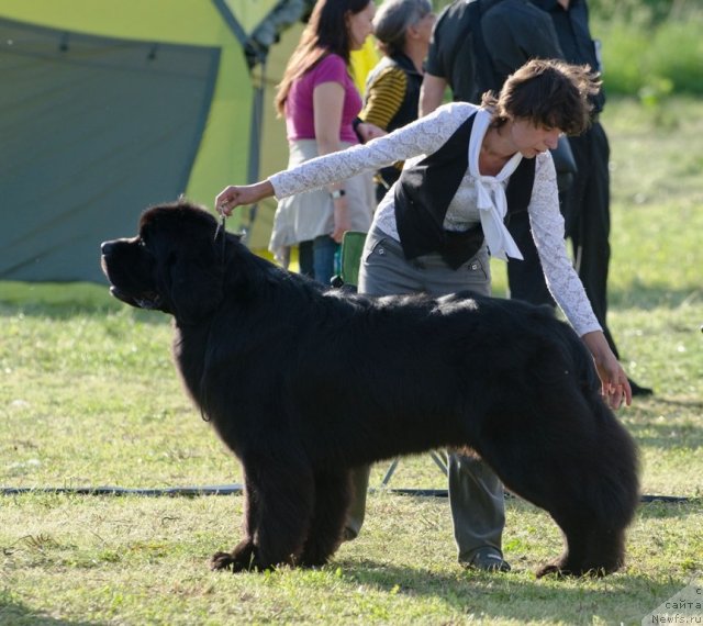 Фотография № 100034