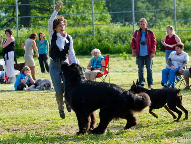 Фотография № 100035