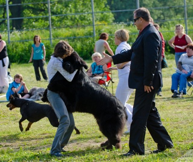 Фотография № 100036