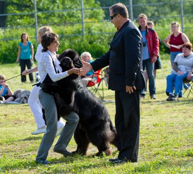 Фотография № 100037