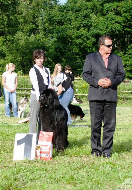 Фотография № 100040