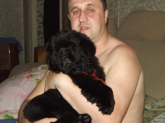 Фото: Елена Цыганова