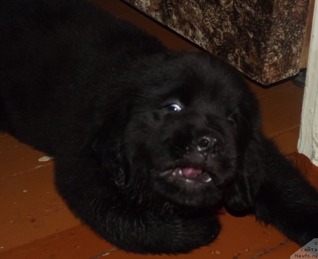 Фото: Елена Цыганова