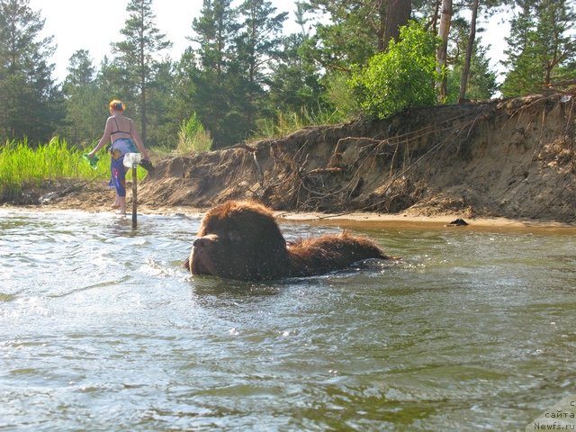 Фотография № 100052