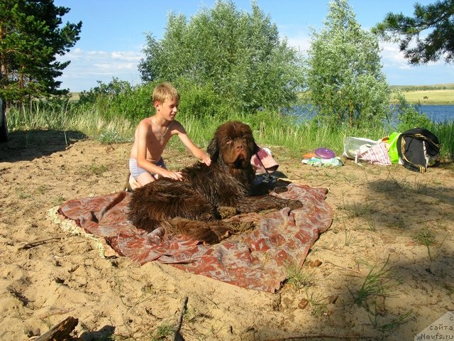 Фотография № 100054