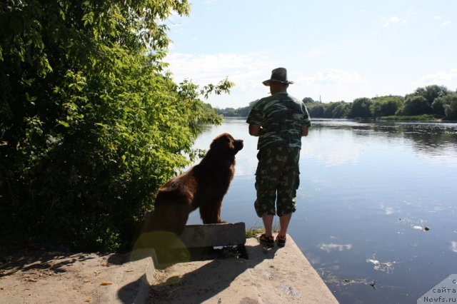 Фотография № 100063