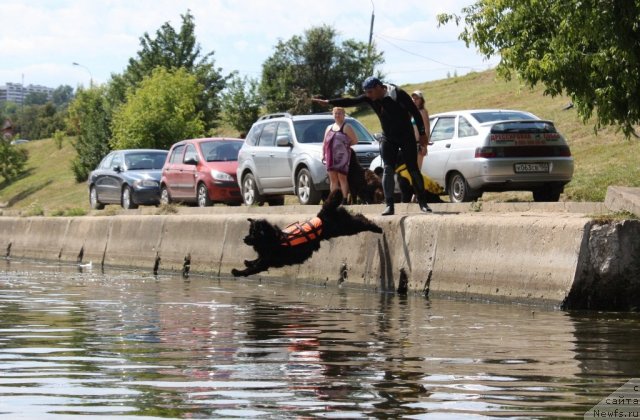 Фотография № 100064