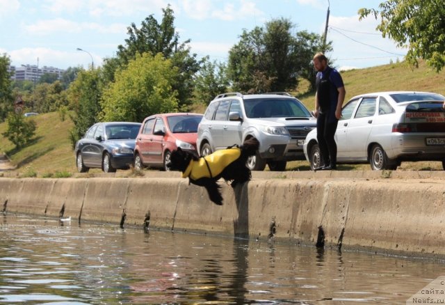 Фотография № 100065