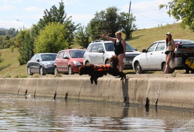 Фотография № 100066