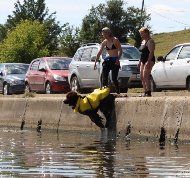 Фотография № 100069