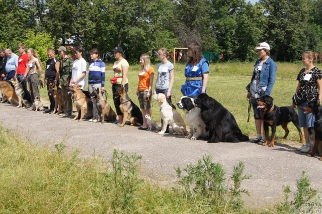 Фотография № 100073