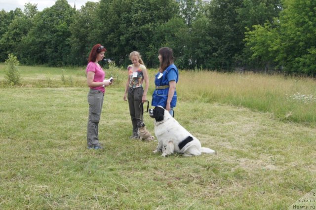 Фотография № 100074