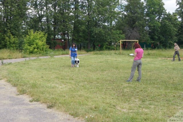 Фотография № 100075