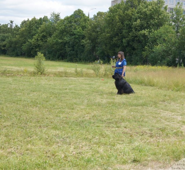 Фотография № 100077