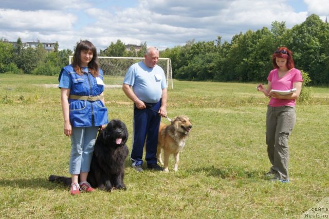 Фотография № 100078