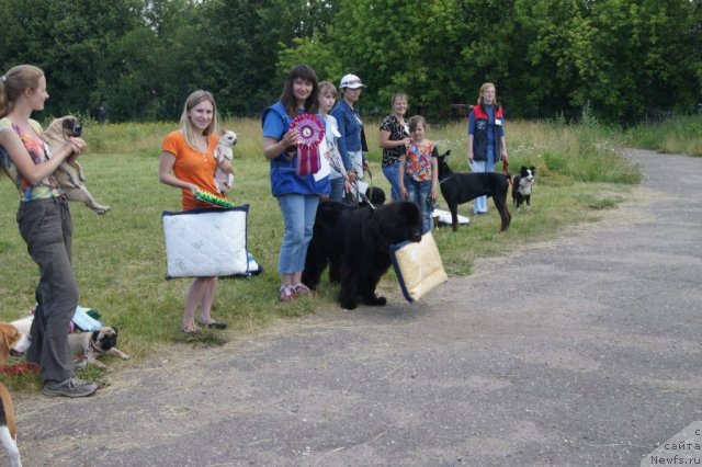 Фотография № 100079